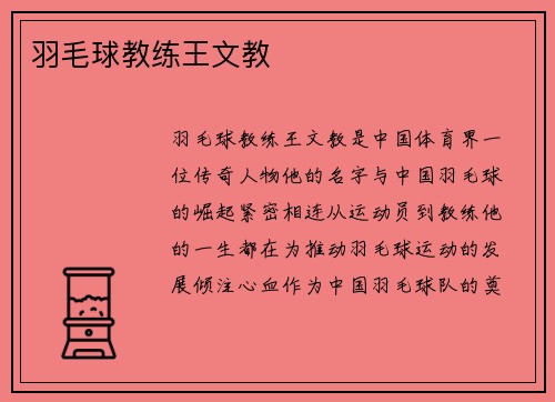 羽毛球教练王文教